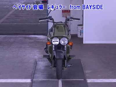 Honda PS250 Big Ruckus 2006