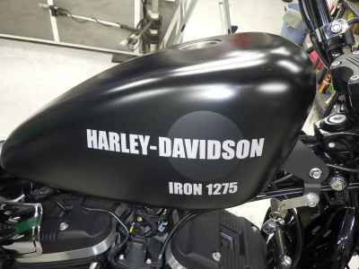 Harley-Davidson Sportster Iron XL883N 2019