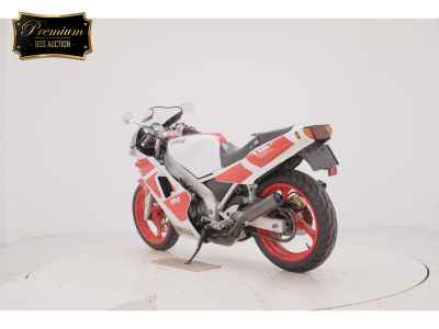 Yamaha TZR250