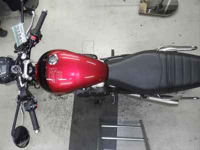 Triumph Speed Twin 900 2024