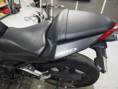 Kawasaki Ninja 250 2013