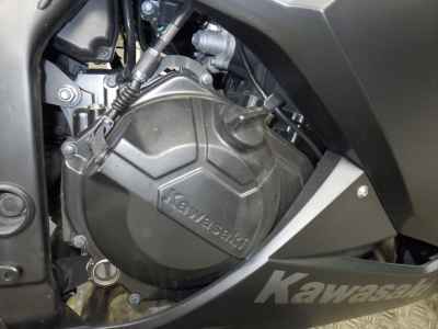 Kawasaki Ninja 250 2013