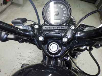 Harley-Davidson Sportster Forty-Eight XL1200XS 2019
