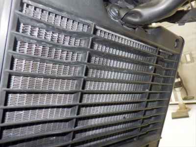 Honda Rebel CMX1100 DCT 2022