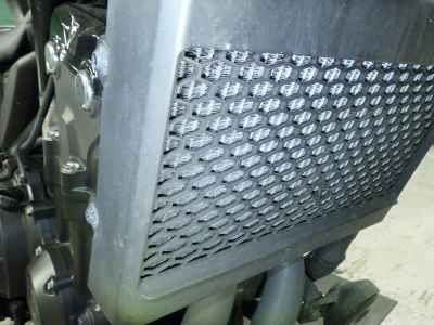 Honda CL500 2023