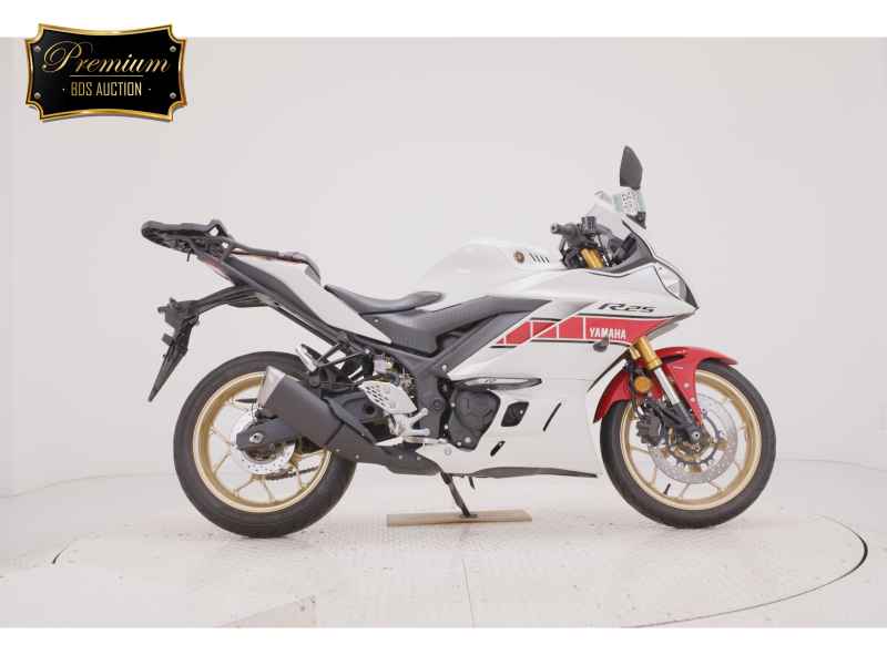 Yamaha YZF-R25
