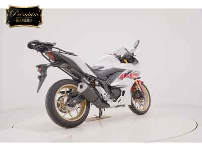 Yamaha YZF-R25