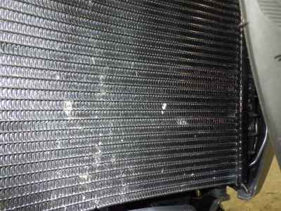 Harley-Davidson RH1250S 2024
