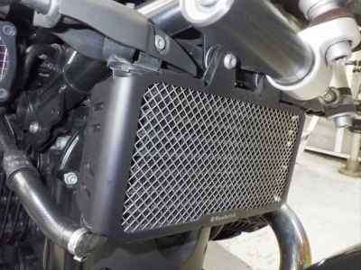 BMW R nineT 2021