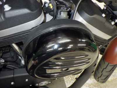 Harley-Davidson XL883N 2018