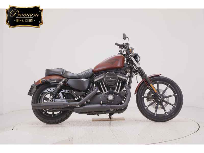Harley-Davidson XL883N 2018
