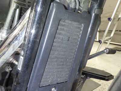 Harley-Davidson Slim FLSL1750 2019