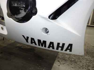 Yamaha FZR250