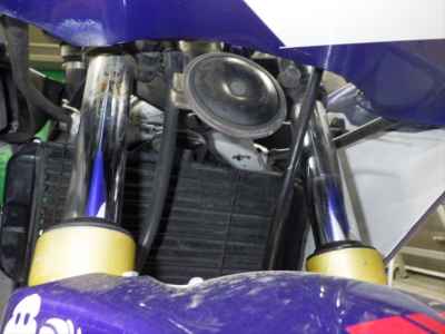 Yamaha FZR250
