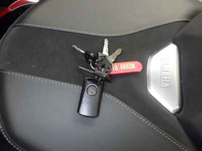 Yamaha XMAX 250 2024