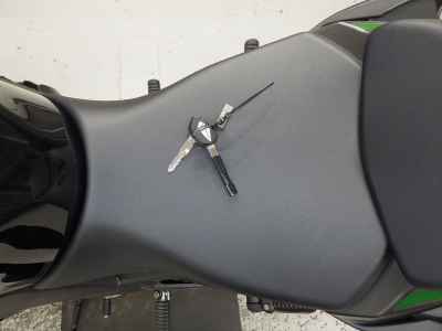 Kawasaki Ninja 1000SX 2024