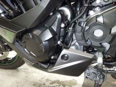Kawasaki Ninja 1000SX 2024
