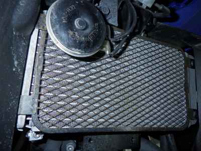 Suzuki GSX250R