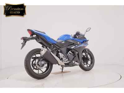 Suzuki GSX250R
