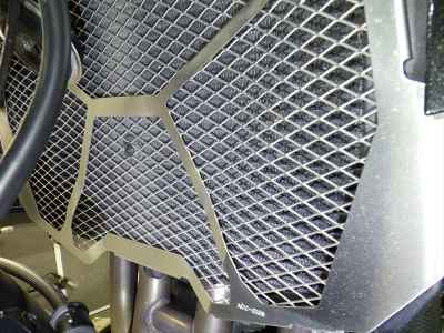 Kawasaki Z900 2021