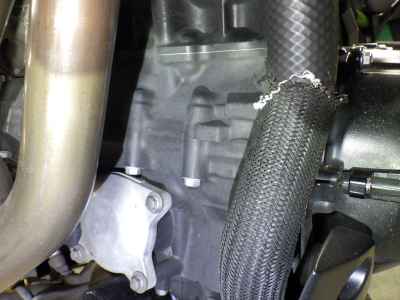 Kawasaki Z900 2021