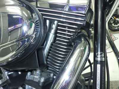 Harley-Davidson Deluxe FLSTN1580 2008