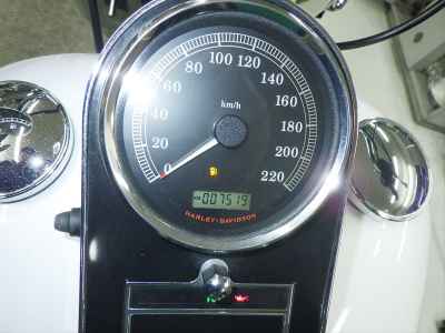 Harley-Davidson Deluxe FLSTN1580 2008