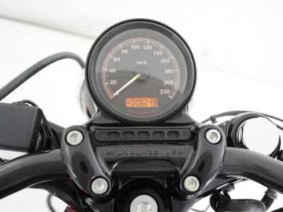 Harley-Davidson Sportster Forty-Eight XL1200X 2012