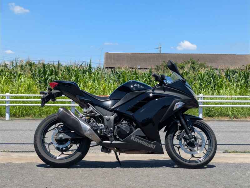 Kawasaki Ninja 250 2014