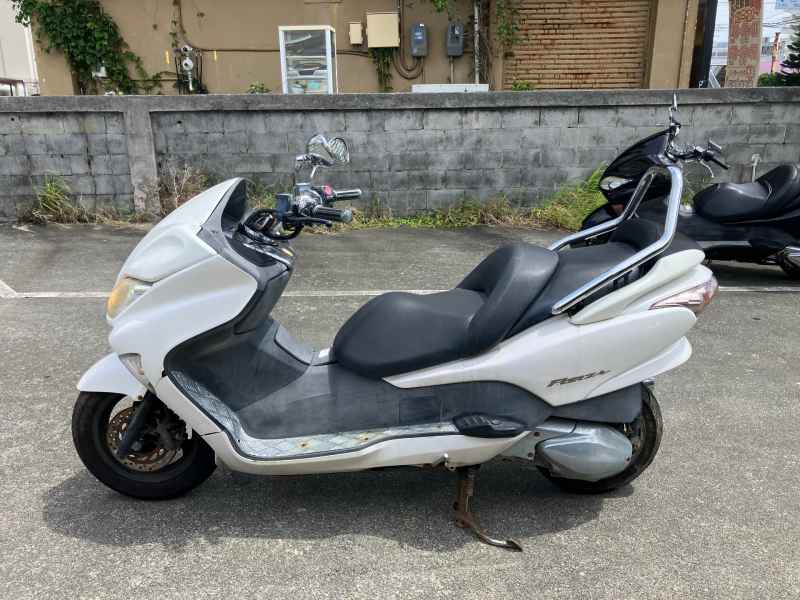 Honda Forza Z