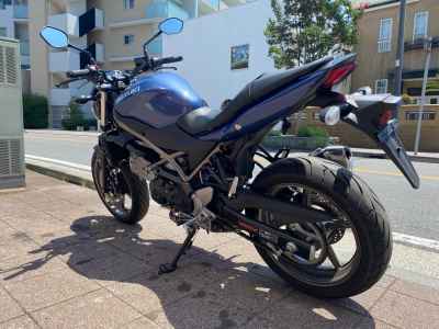 Suzuki SV650 2025