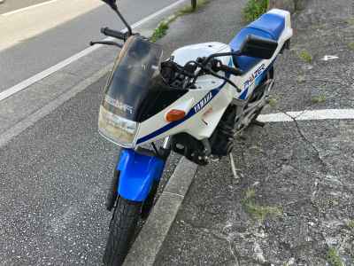 Yamaha FZ250 Fazer