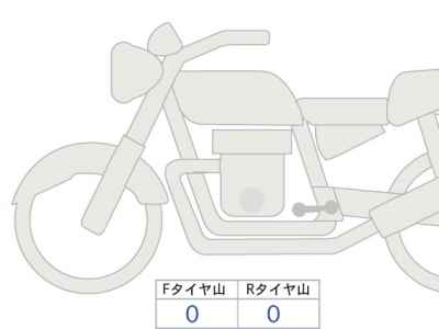 Kawasaki Estrella RS