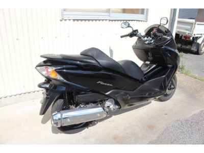 Honda Forza Z 2009