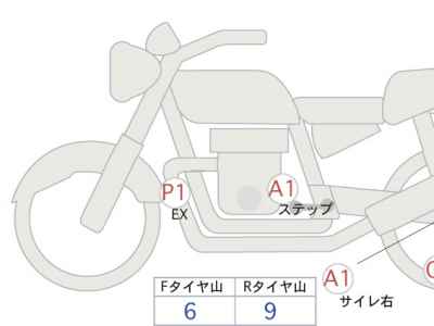 Kawasaki W800 2022