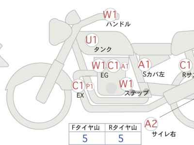 Kawasaki W800 2021