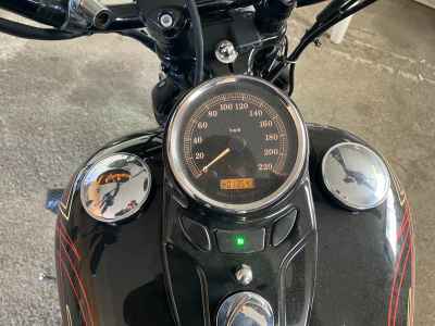 Harley-Davidson CROSS BONES FLSTSB1580 2008