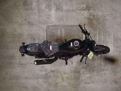 Honda Rebel CMX250 2025
