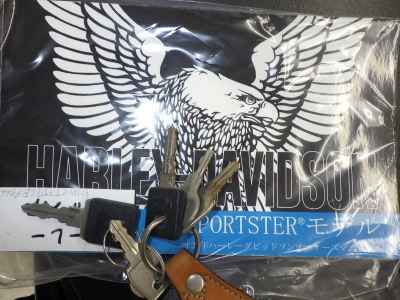 Harley-Davidson Sportster Custom XL1200C 2019