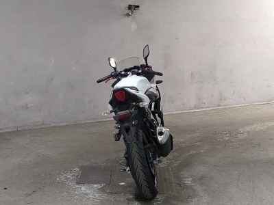 Suzuki GSX250R