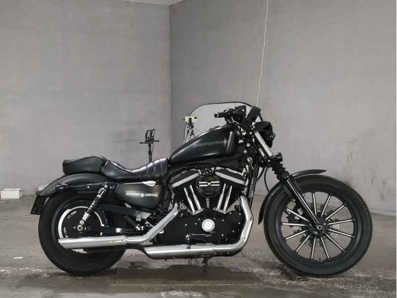 Harley-Davidson XL883N 2010