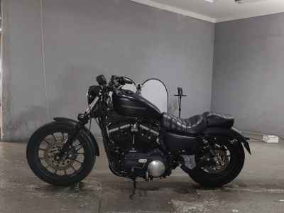 Harley-Davidson XL883N 2010