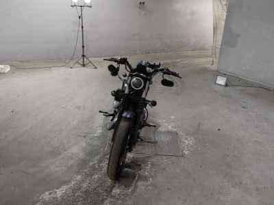Harley-Davidson XL883N 2010
