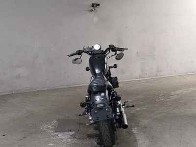 Harley-Davidson XL883N 2010