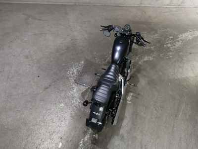 Harley-Davidson XL883N 2010