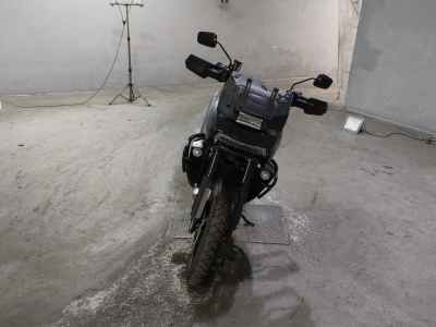 Harley-Davidson Pan America 1250 Special 2022