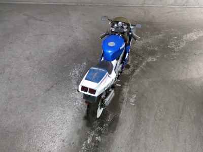Suzuki RGV250