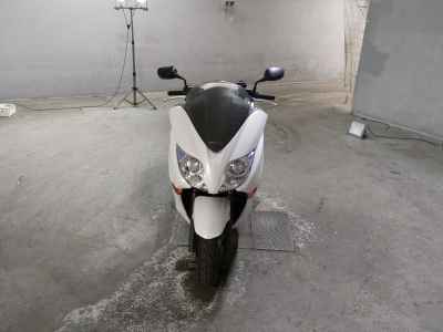Honda Forza Z 2010