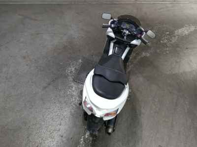 Honda Forza Z 2010