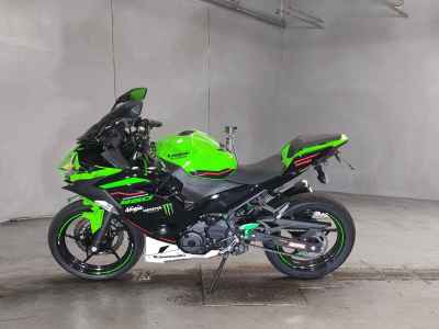 Kawasaki Ninja 250 2021